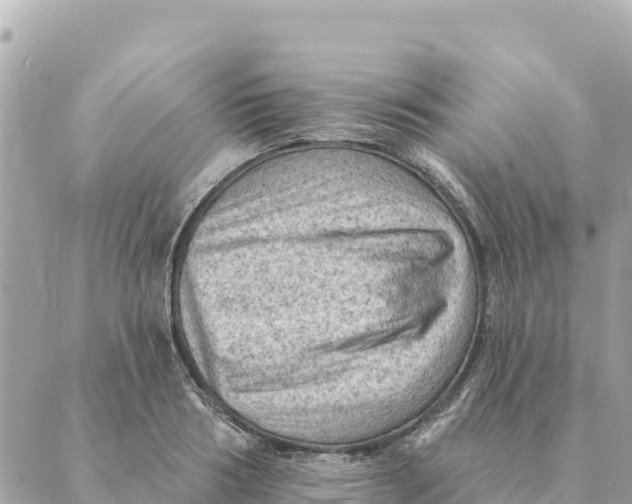 X0000088830986200706281751