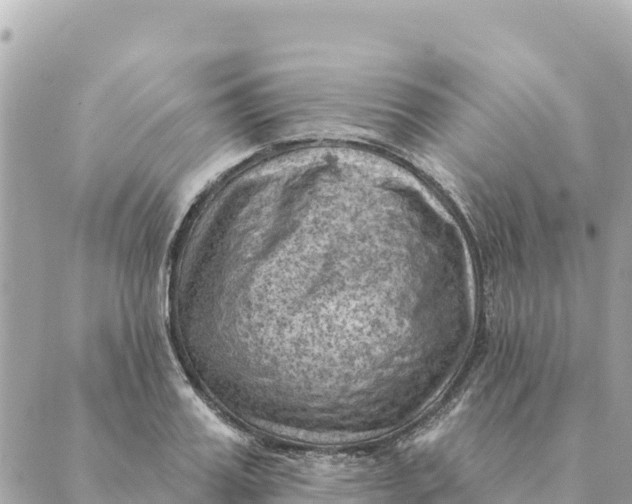 X0000088830987200706281751