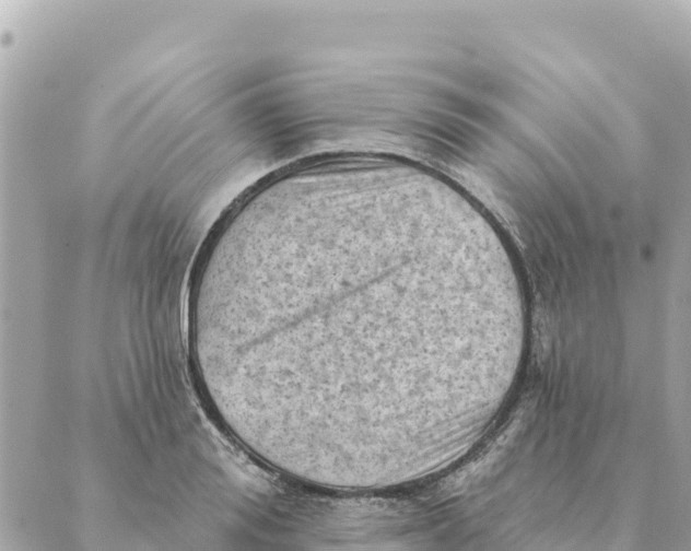 X0000088830988200706281751