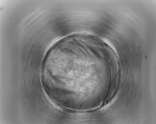 X0000088830989200706281751