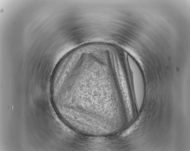 X0000088830991200706281751