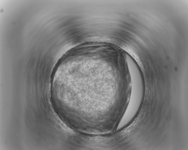 X0000088830992200706281751