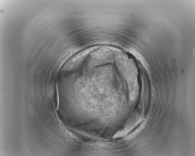 X0000088830993200706281751