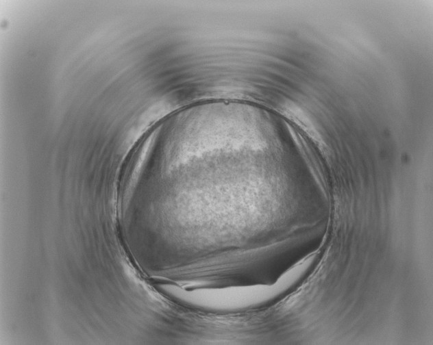 X0000088830994200706281751