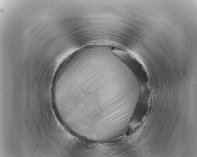 X0000088830995200706281751