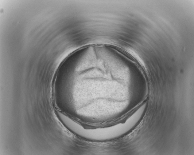 X0000088830996200706281751