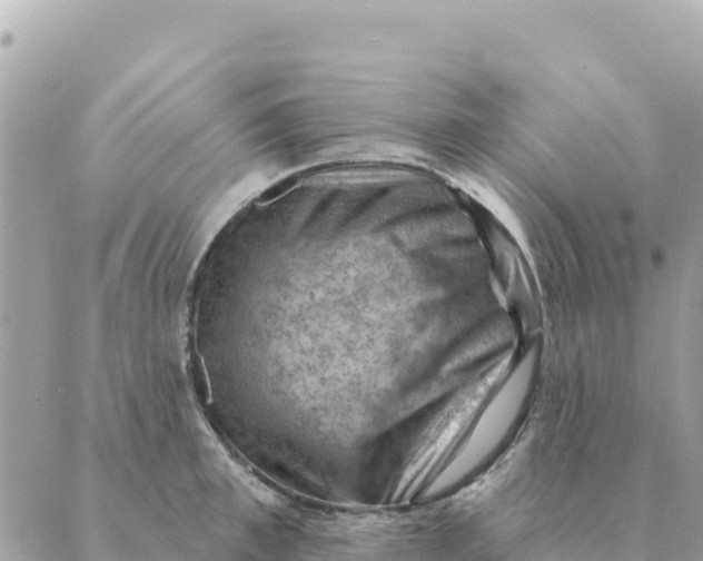 X0000088830997200706281751