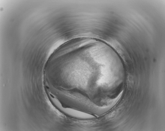 X0000088830998200706281751