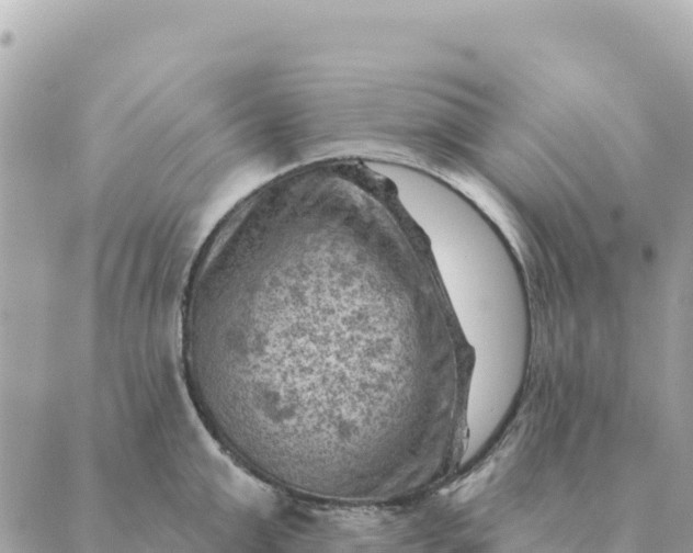 X0000088830999200706281751