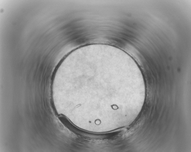 X0000088831000200706281751