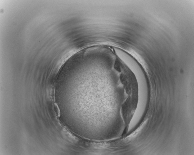 X0000088831001200706281751