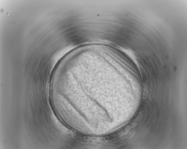 X0000088831003200706281751