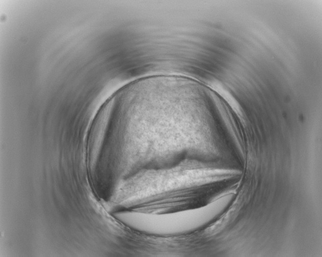 X0000088831004200706281751