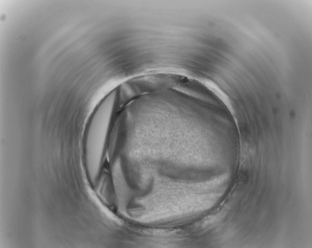 X0000088831005200706281751