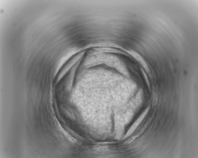 X0000088831006200706281751