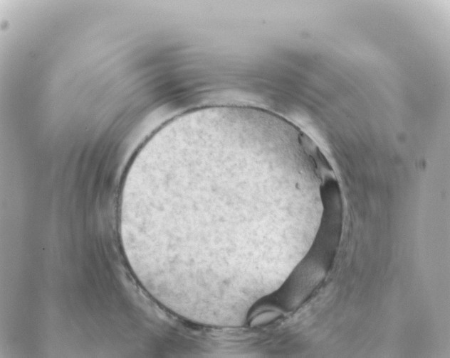 X0000088831008200706281751