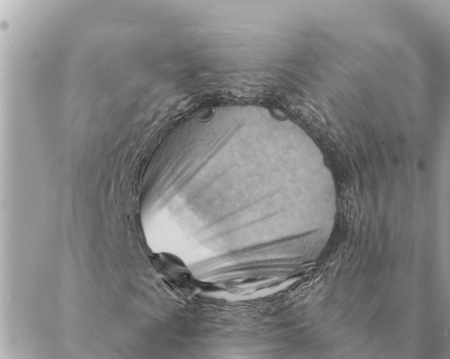 X0000088831009200706281750