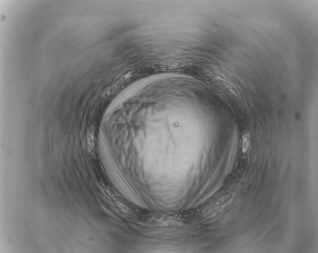 X0000088831011200706281750