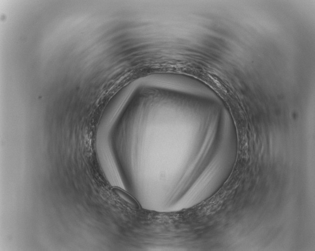 X0000088831013200706281750