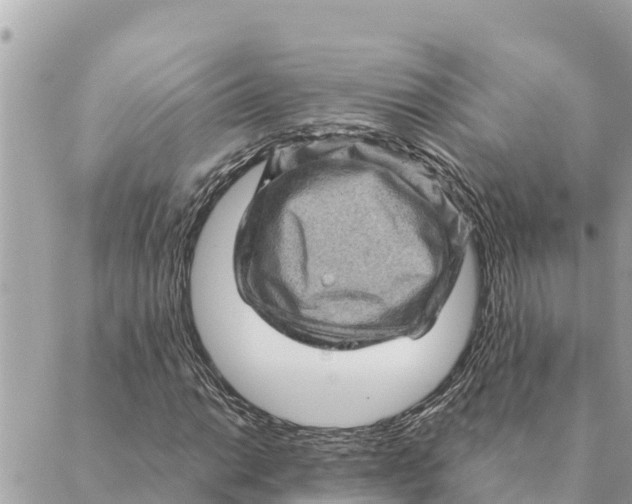 X0000088831014200706281750