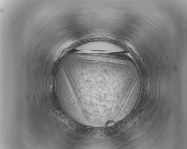 X0000088831016200706281750