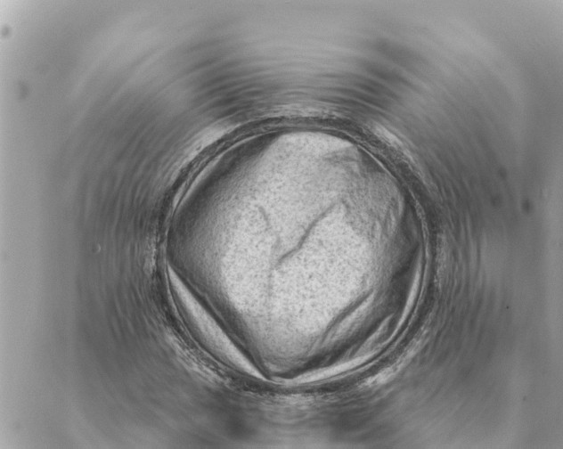 X0000088831017200706281750