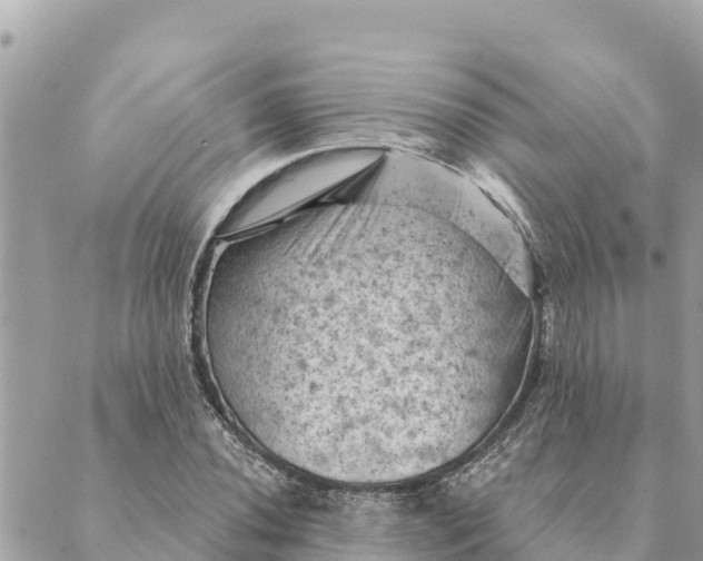 X0000088831020200706281750