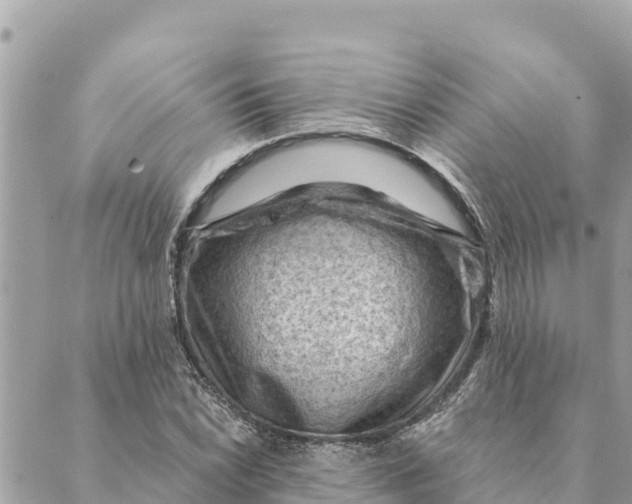 X0000088831022200706281750