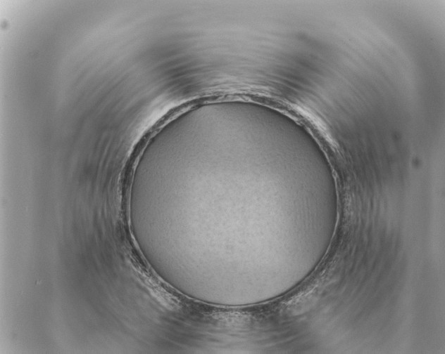 X0000088831023200706281750