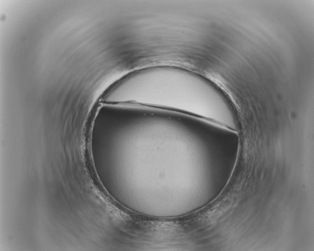 X0000088831024200706281750