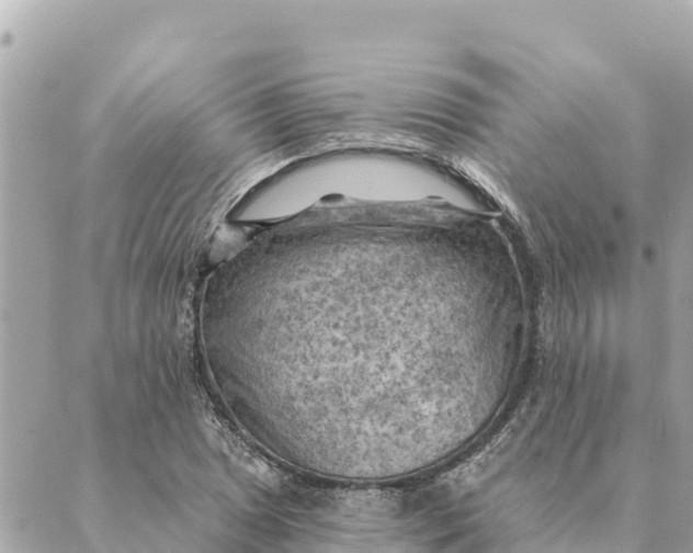 X0000088831025200706281750