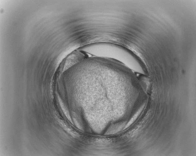 X0000088831026200706281750