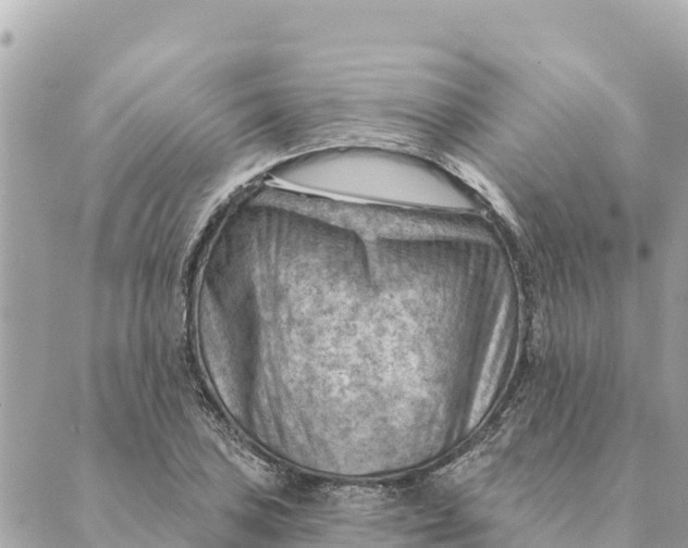 X0000088831027200706281751