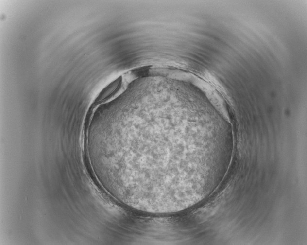 X0000088831028200706281751