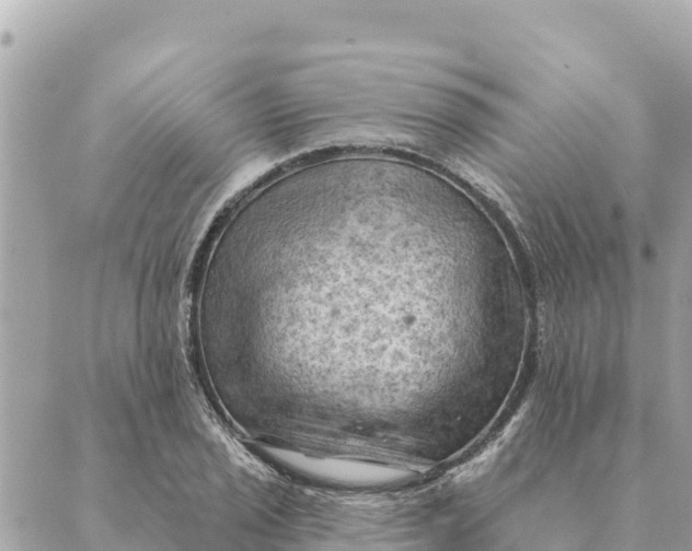 X0000088831029200706281751