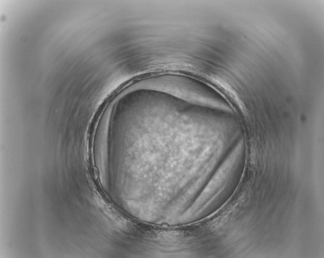 X0000088831031200706281751