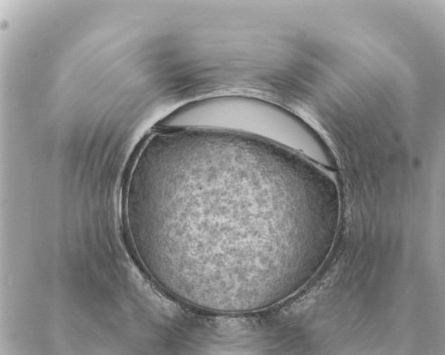 X0000088831032200706281751