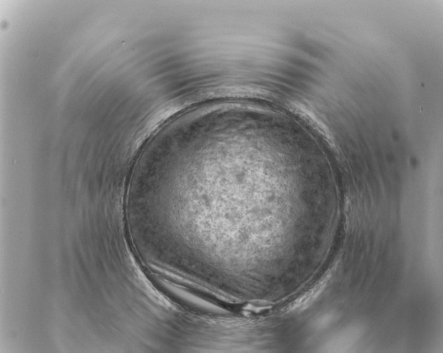 X0000088831033200706281751