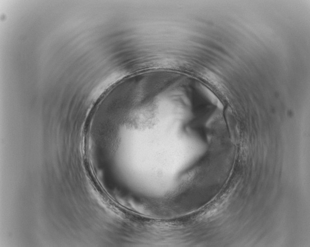 X0000088831034200706281751