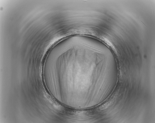 X0000088831035200706281751