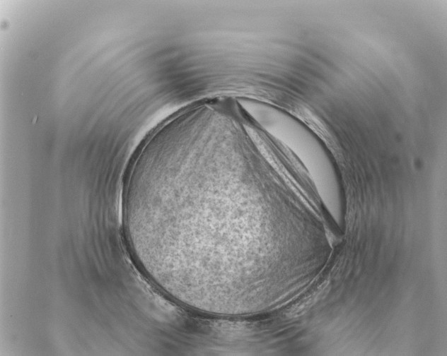 X0000088831036200706281751