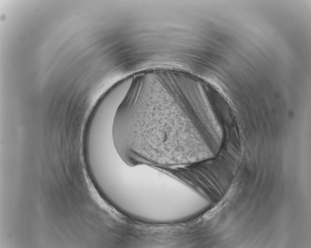 X0000088831038200706281751