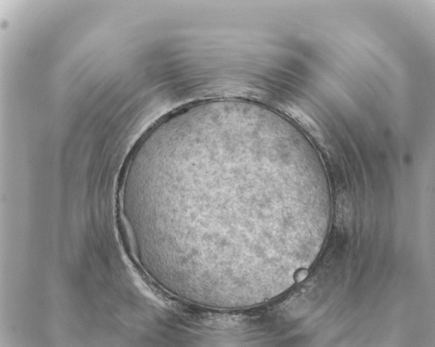 X0000088831039200706281751