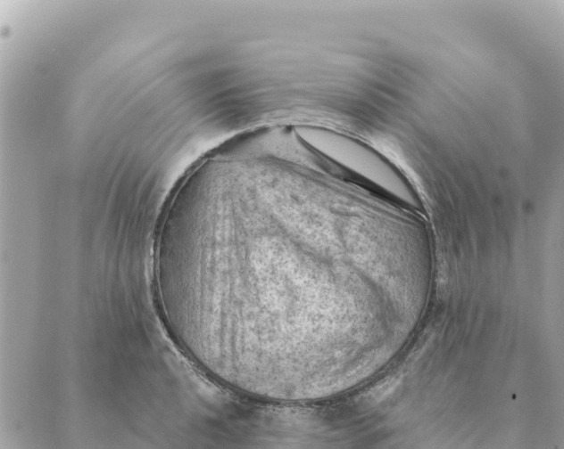 X0000088831040200706281751