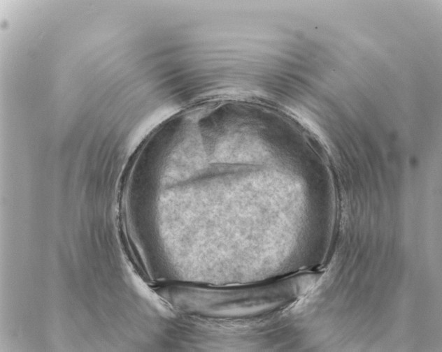 X0000088831042200706281751