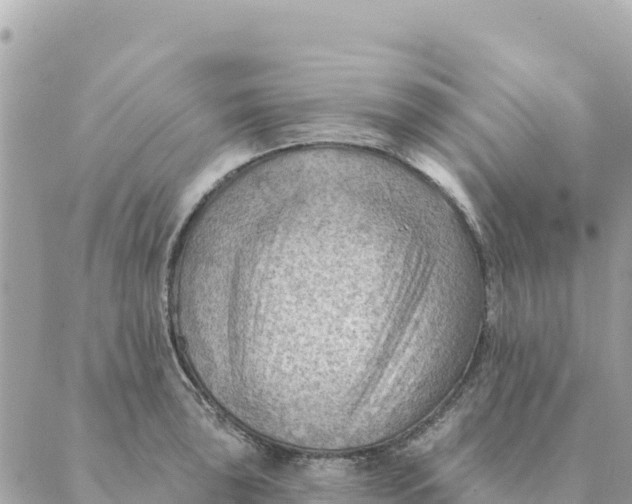 X0000088831043200706281751