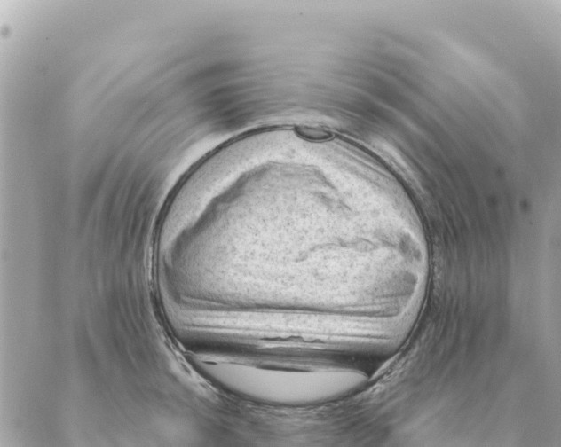 X0000088831044200706281751