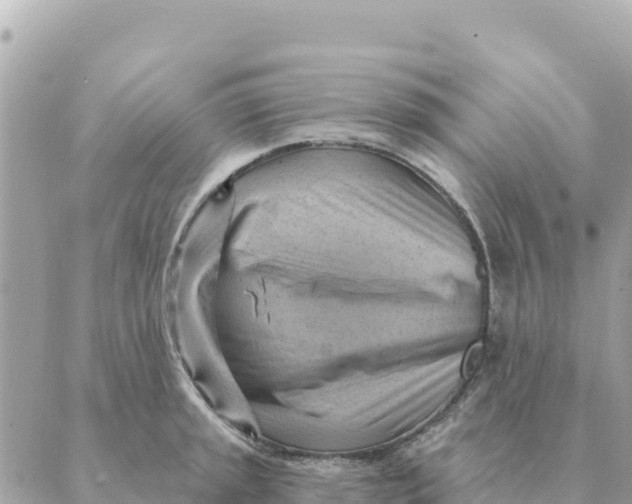 X0000088831045200706281751