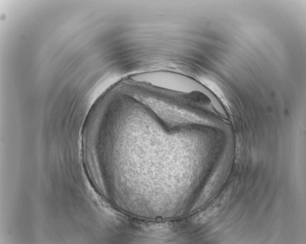 X0000088831047200706281751