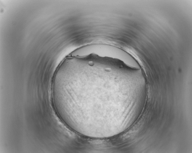 X0000088831048200706281751